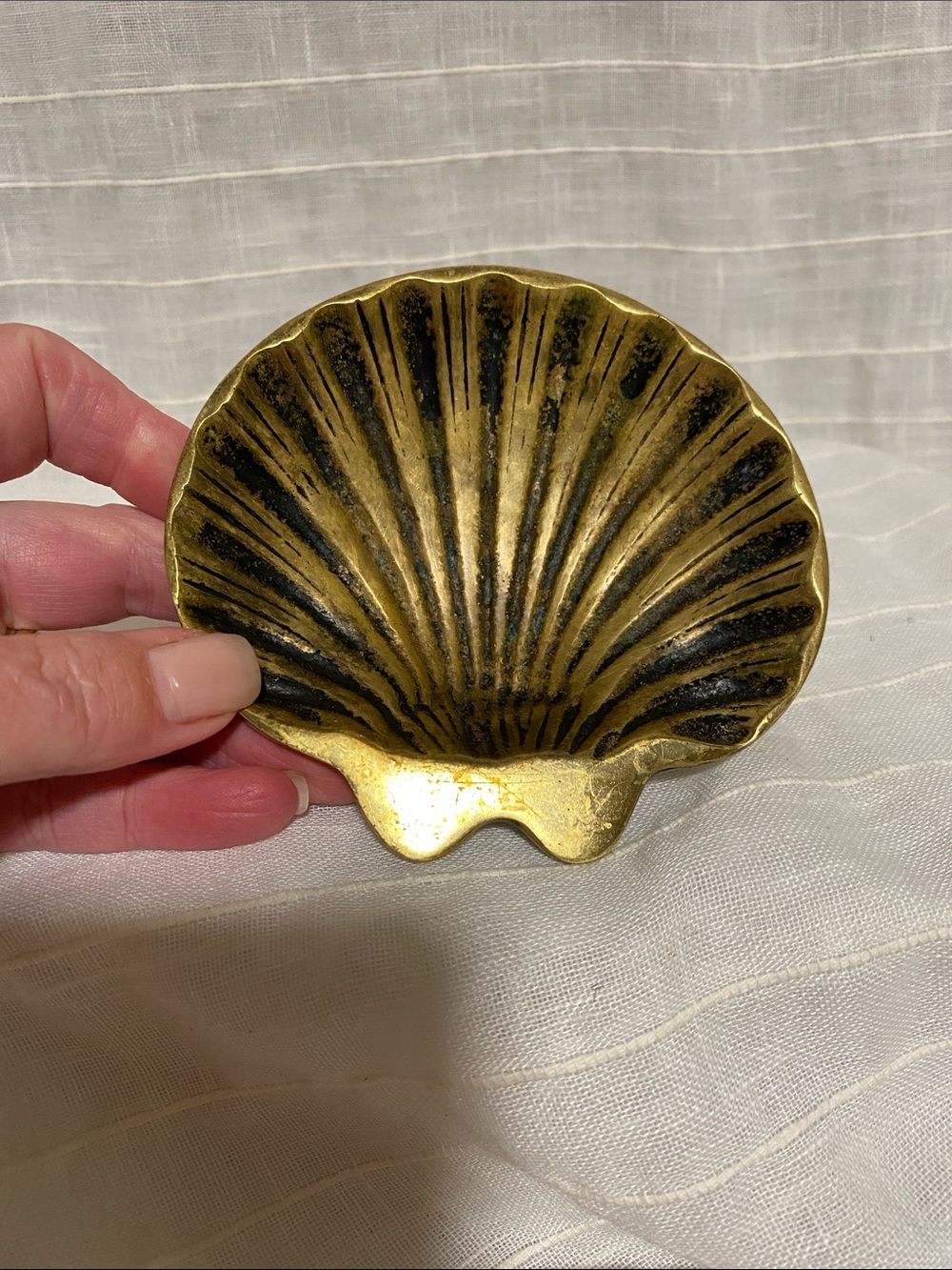 Solid brass Shell Trinket Dish Decorative Accent
